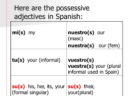 Possessive Adjectives Ppt Video Online Download