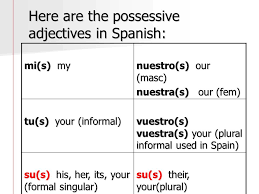 possessive adjectives ppt video online download