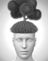 TRAUMA-INFORMED CARE