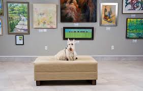 Pristine two bedroom asheville vacation cabin with two bathrooms! 14 Pet Friendly Hotels In Asheville Nc Planetware