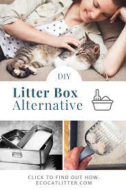 Make sure to change the litter bed at least on a daily basis. Diy Litter Box Alternative Litterbox Diy Litter Box Litter Box Litter