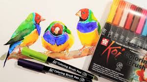 Sakura Koi Coloring Brush Pens Review Demo Youtube