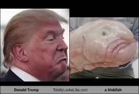 LOL!!! These "separated at birth" pics had us howling!