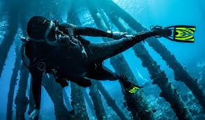 Where Should You Store Your Dive Knife Deepblu Mag