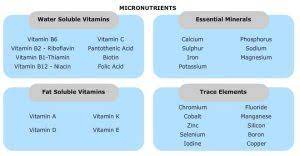 Both macronutrients and micronutrients are essential to health. 15 Differences Between Macro Nutrients And Micro Nutrients Public Health Notes