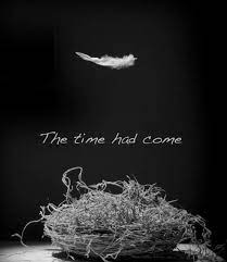 In the dewy wood tinselled with bewildering moonlight, the bumbling, tumbling babies of the fairy creche trip over the hem of 10. Our Final Empty Nest By My Empty Nest In Lake Kiowa Tx Thank You For The Memories And For Being Loyal Cu Empty Nest Quotes Empty Nest Syndrome Empty Nest