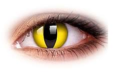 Reordering your contacts has never been easier, with one simple click. Cat Eyes Contact Lenses Optyk Rozmus