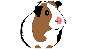 Name des apostels und evangelisten johannes, auch bekannt durch johannes den täufer; 1000 Meerschweinchen Namen Mannlich Und Weiblich