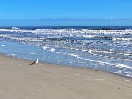 Maybe you would like to learn more about one of these? Guide To Best Beaches In Jacksonville Fl Jacksonville Traveler