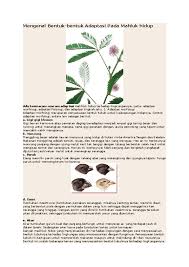 Jenis teratai ini memiliki batang panjang sehingga bunga tidak langsung bersentuhan dengan permukaan air maupun daun teratai. Doc Mengenal Bentuk Bentuk Adaptasi Pada Mahluk Hidup Sukar Tono Academia Edu