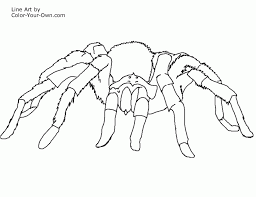 Here are some free printable spider web coloring pages. Spider Web Coloring Page Online Coloring Pages Princess Coloring Coloring Home