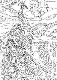 Coloring pages for children : Pin On Coloring Pages Birds Nature