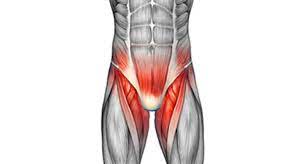 Groin pain is generally the result of muscle, tendon, and ligament strain in sports. Groin Pain Groin Injuries Symptoms Causes Treatment