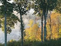 Fall Foliage Knitting Retreat