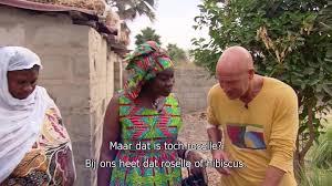 René pluijm maakt een overheerlijke preischotel met kabeljauw. Uitzending Gemist Van Pluijms Eetbare Wereld Gambia Deel 2 Op Rtl 4