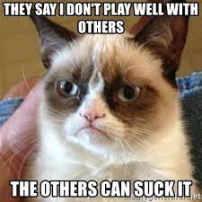 They Say I Don T Play Well With Others The Others Can Suck It Grumpy Cat Meme Generator