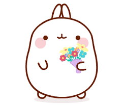 See more ideas about molang, molang wallpaper, kawaii drawings. New Gif On Giphy Molang Wallpaper Molang Molang Stickers