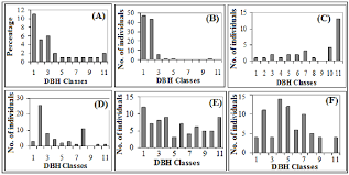 Image result for Pouteria adolfi-friederici