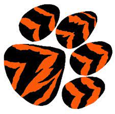 Pin On Tiger