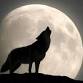 ???? Yin Yoga + Sound Healing: Honoring the Wolf M... event in Two Rivers, WI