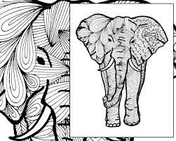 This in turn promotes relaxation and calmness due to lower stress receptors flowing to and from the amygdala. Tribal Elephant Coloring Pages For Adults 3 Jpg Coloring Home
