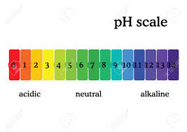 Ph Scale Diagram With Corresponding Acidic Or Alcaline Values