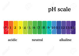 ph scale diagram with corresponding acidic or alcaline values