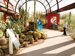Located in papago park, this garden features one of the world's largest outdoor desert plant collection. Where To Go In Phoenix Arizona To See Desert Gardens In Spring Sunset Magazine