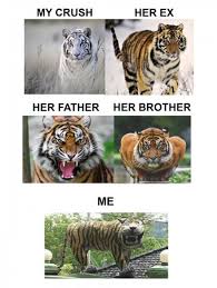 The Best Funny Pictures Of Today S Internet Funny Animal Jokes Funny Cat Memes Funny Animal Memes