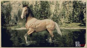 Set in 1820, a texan fur trapper journeys into the mysterious buckskin woods in the hopes of saving a lost young boy. Silver Tail Buckskin American Standardbred Rdr2 Red Dead Online Horses Database Stats Locations