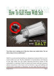 Does Salt Kill Fleas Diys For Using Salt To Kills Fleas Budgetvetcare By Budgetvetcare Issuu