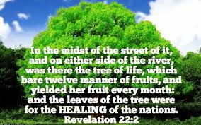 2 To The 1 To The 1 To The 3 I Like Good Trees Revelation 22 2 The Tree Of Life And It S Leaves Shall Be For The Healing Of The Nations Revelation 22 Revelation Life