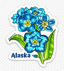 Printable coloring pages for kids and adults. Alaska State Symbols Coloring Pages Clipart 5485860 Pinclipart