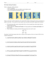 Start studying dna replication worksheet. Dna Base Pairing Worksheet Promotiontablecovers