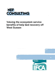 Think you know a lot about halloween? Pdf Valuing The Ecosystem Service Benefits Of Kelp Bed Recovery Off West Sussex