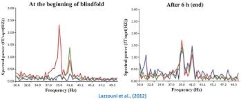 Frontiers Sensitive And Critical Periods In Visual Sensory Deprivation Psychology