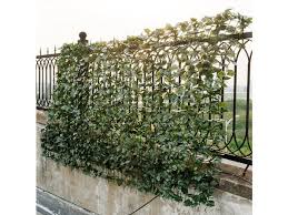 Strong and attractive, this fence screen will make your place look natural and green. Costway 40 X95 Faux Ivy Leaf Decorative Privacy Fence Screen Artificial Hedge Fencing Green Stacksocial