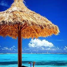 Profile for Solo4Orphans