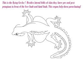 The original format for whitepages was a p. Flying Gecko Coloring Pages