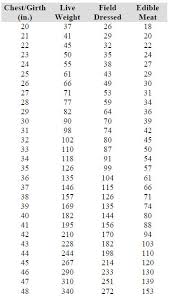 Deer Weight Chart