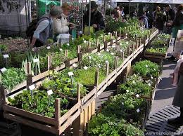 burkliplatz market in zurich dienstag und freitag 06 00h 11 00h zurich plants fresh herbs
