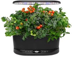 Using aerogardens indoor garden kits, you can easily grow plants without soil. Aerogarden Bounty Indoor Garden Only 159 95 Regular Price 299 95