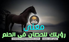 رؤية الحصان في الحلم ثقف نفسك