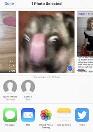 Prank funny photos to airdrop. People Who Accept Airdrops Are Mvp Funny