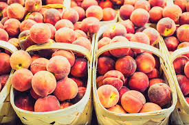 On the same day chinese researchers published the domesticated history of peach, american. S C Peaches A Taste Of Summer In The Lowcountry Explore Beaufort Sc