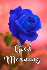 Pin On Good Morning