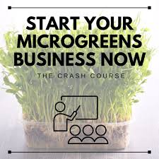 Start Your Microgreens Business Now The Crash Course Growing Your Microgreens Growing Microgreens Micro Garden