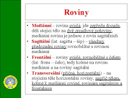 Bývá označována také jako rovina vertikální, mediánní nebo jako rovina symetrie. Digitln Uebn Materil Zkladn Orientace Na Lidskm Tle