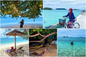 Perkataan clearly membawa maksud yang sama seperti obviously, dan ia digunakan untuk menyatakan sesuatu yang sudah jelas kebenarannya. Regatta Lepa Semporna Hari Perayaan Suku Kaum Bajau Di Sabah Penuh Dengan Warna Warni Libur