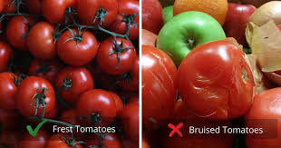 Sure, with a few things to keep in mind: Can You Freeze Tomatoes Here S How You Can Do It Right